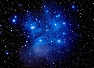 Les Pléiadiens : Le Leader en vous